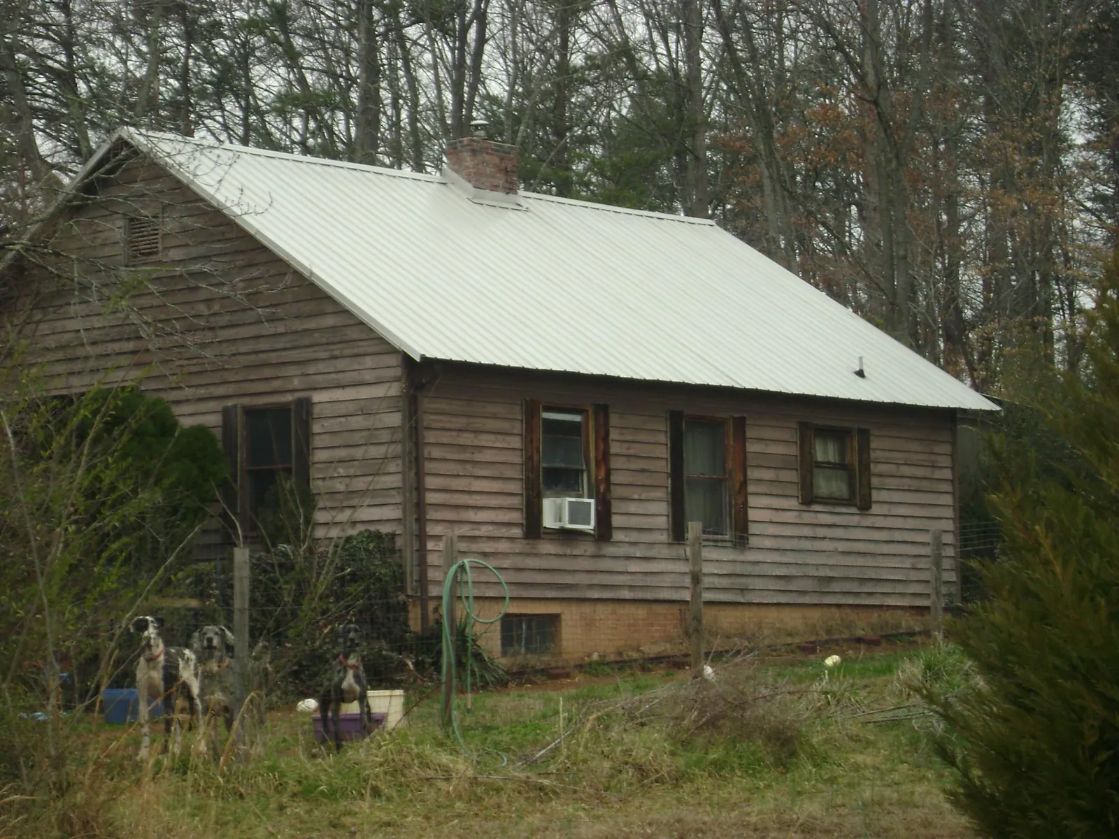 White metal roof on an old wood sided farmhouse, from a Asphalt Shingle Roof Repair job in Elko